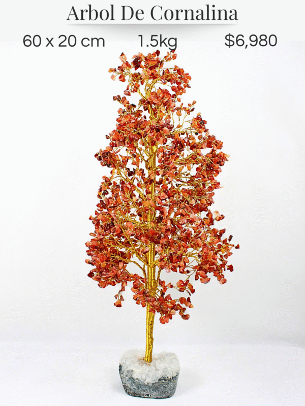 Arbol De Agata Cornalina - Image 6