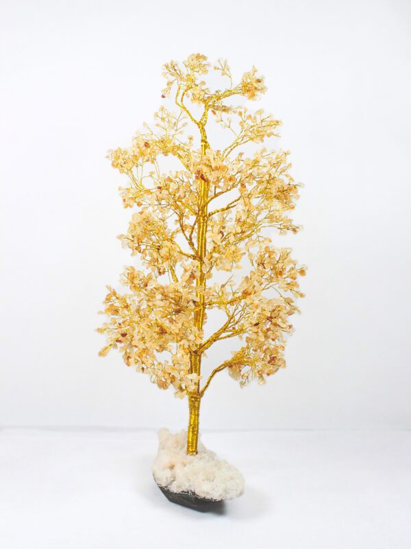 Arbol de Citrino