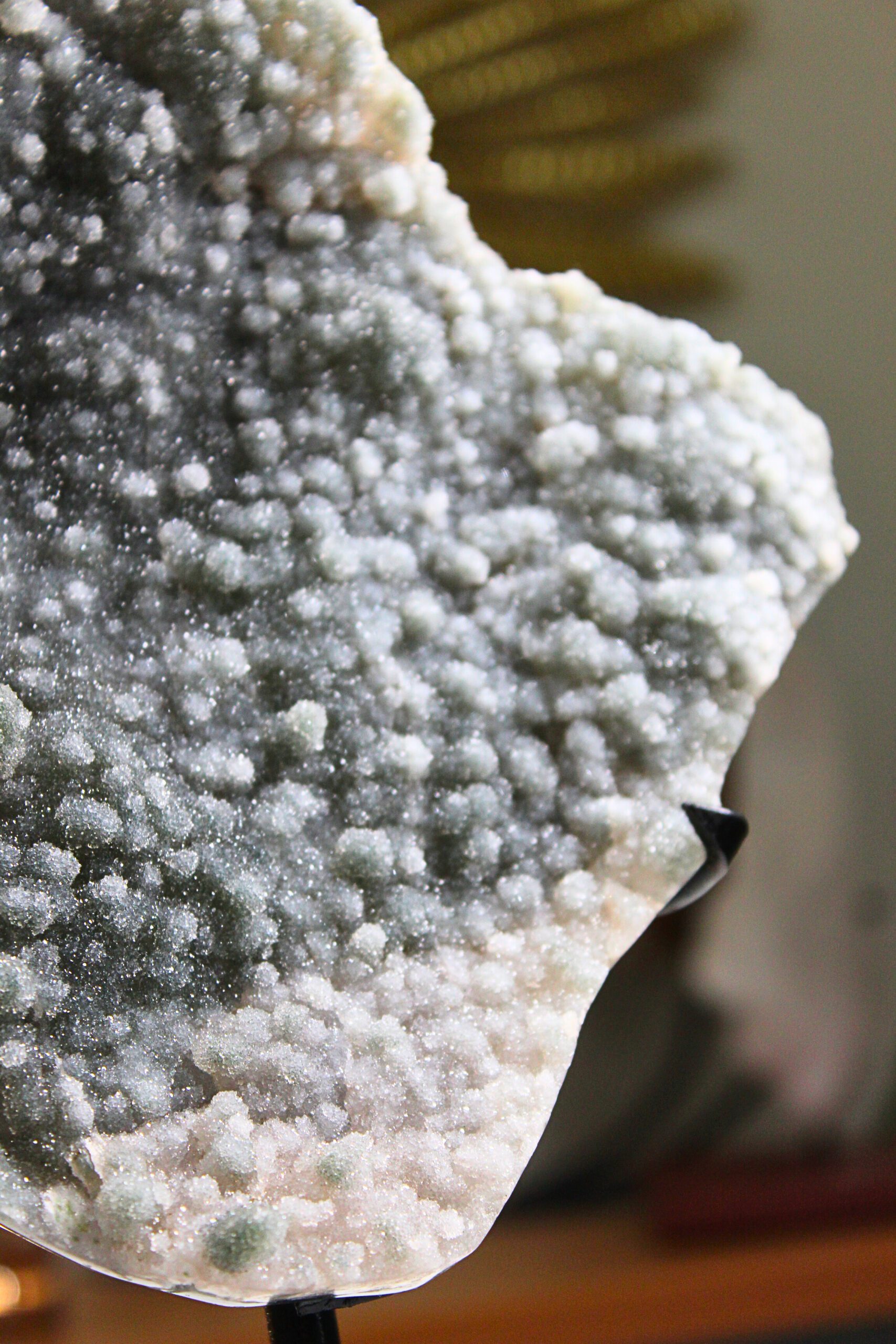 Prasiolita Azucarada - Image 3